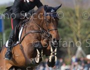 Chimirri B Valentino TosTour 2013- S5 7682 : Arezzo Equestrian Centre, Chimirri Bruno, Toscana Tour 2013, Valentino II, foto di Stefano Secchi ©